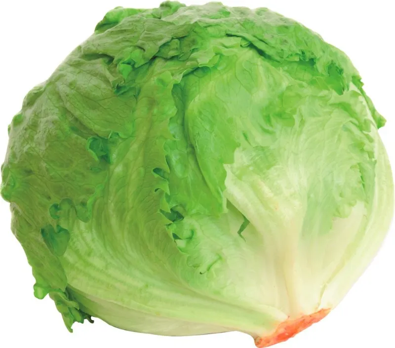 INSALATA ICEBERG