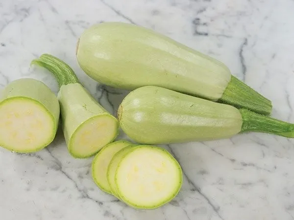 ZUCCHINA BIANCA