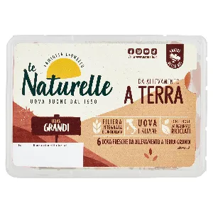 LE NATURELLE UOVA FRESCHE ALLEVATE A TERRA L X6