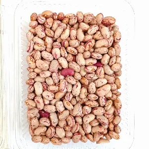 FAGIOLI BORLOTTI SECCHI SFUSI